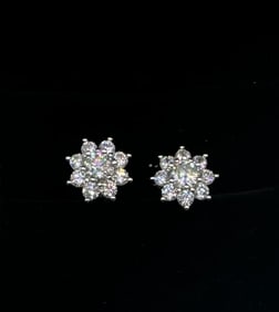 Fancy VVS Earrings