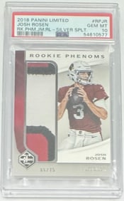 Josh Rosen Rookie Silver Game Used Patch /75