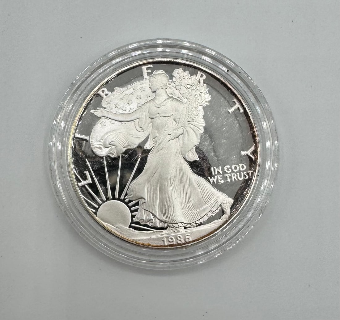 One Dollar Liberty Silver Coin (1 of 2)