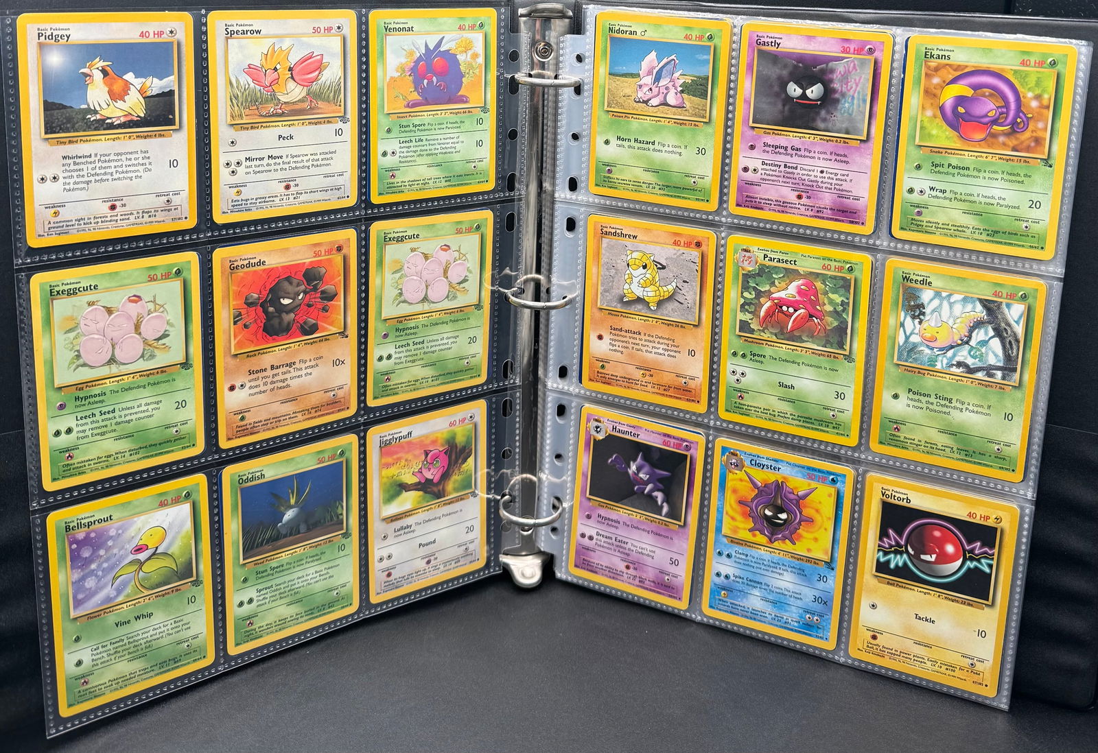 1999 Pokemon Pokemon Cards Binder (1 of 5)