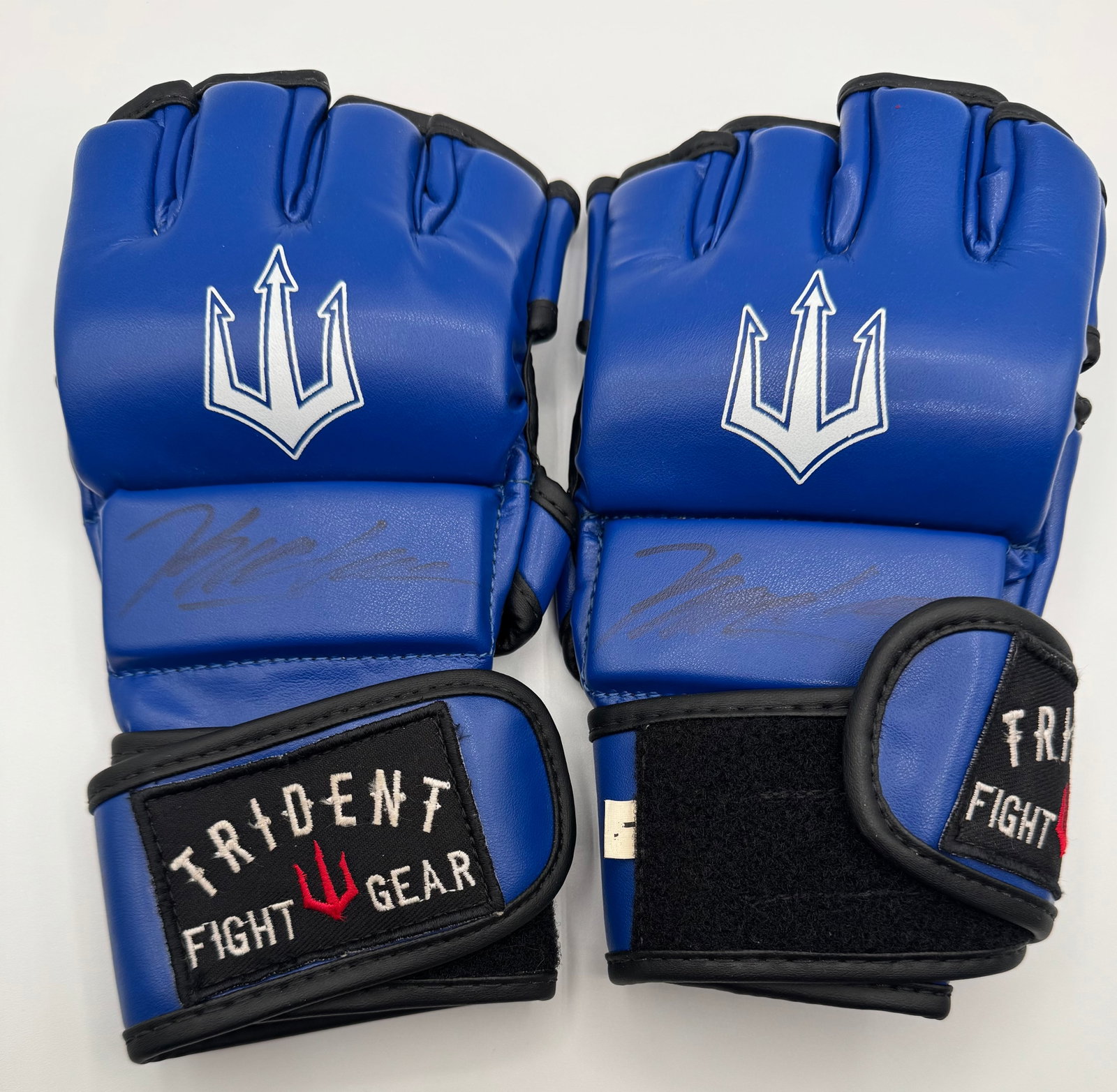UFC Autographed Signed Gloves: UFC Autographed Signed Gloves brand Fridenr Fight Gear. We could not recognize the Signatures . Signed both sides