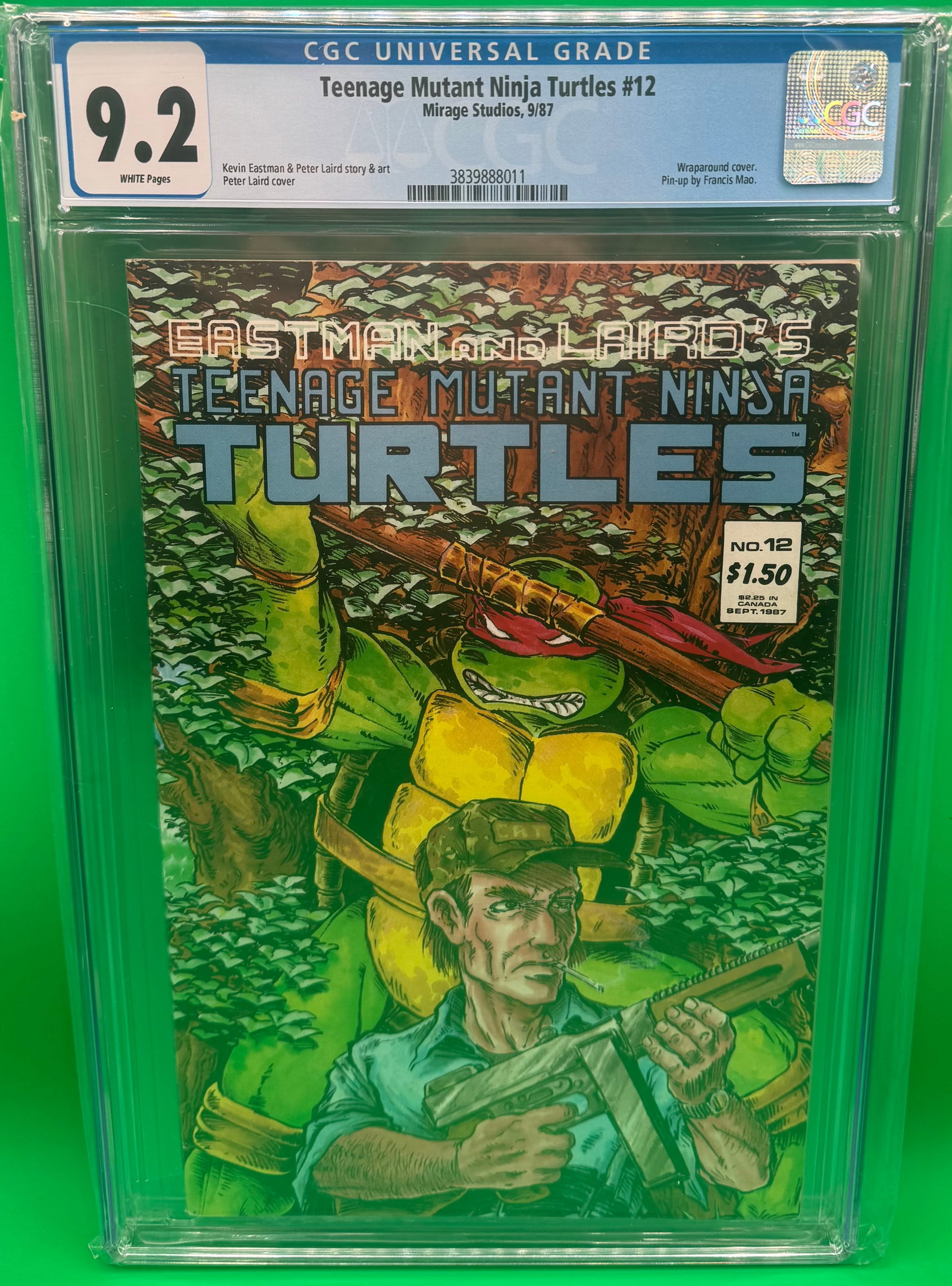 Teenage Mutant Ninja Turtles Comic Book (1 of 2)
