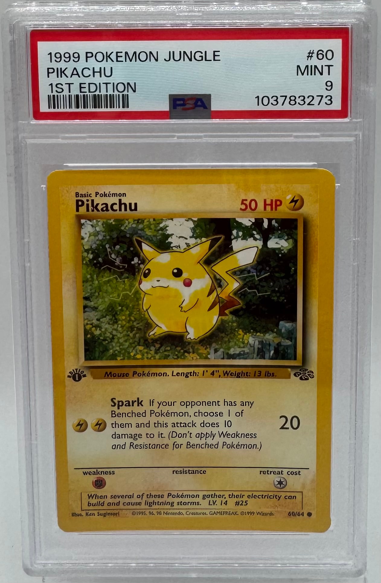 Shinx Pokemon Card
