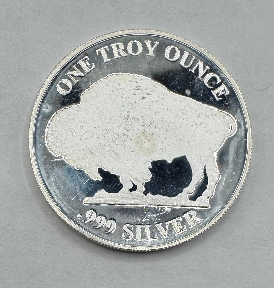 One Troy Ounce Silver Coin (1 of 2)