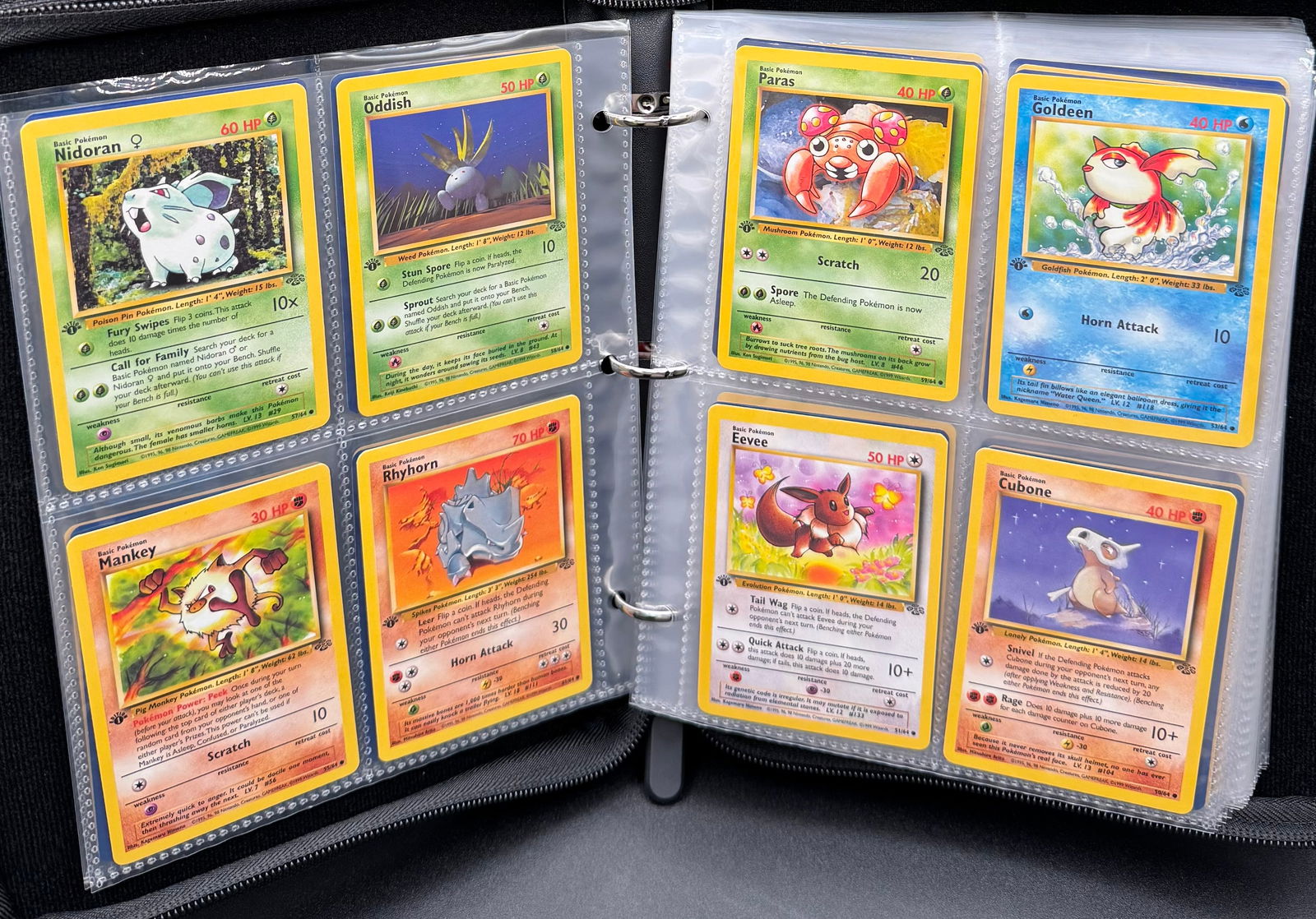 1999 Jungle Set 1st Edition Binder - 2