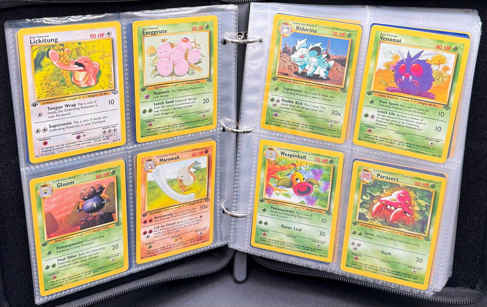 1999 Jungle Set 1st Edition Binder - 3