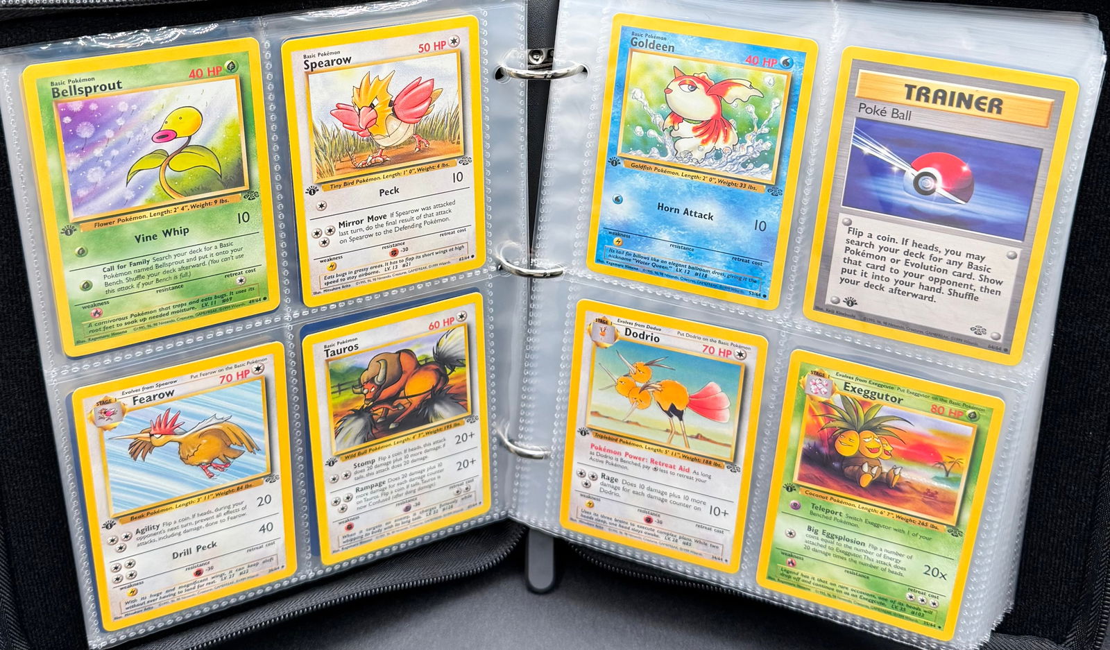 1999 Jungle Set 1st Edition Binder - 4