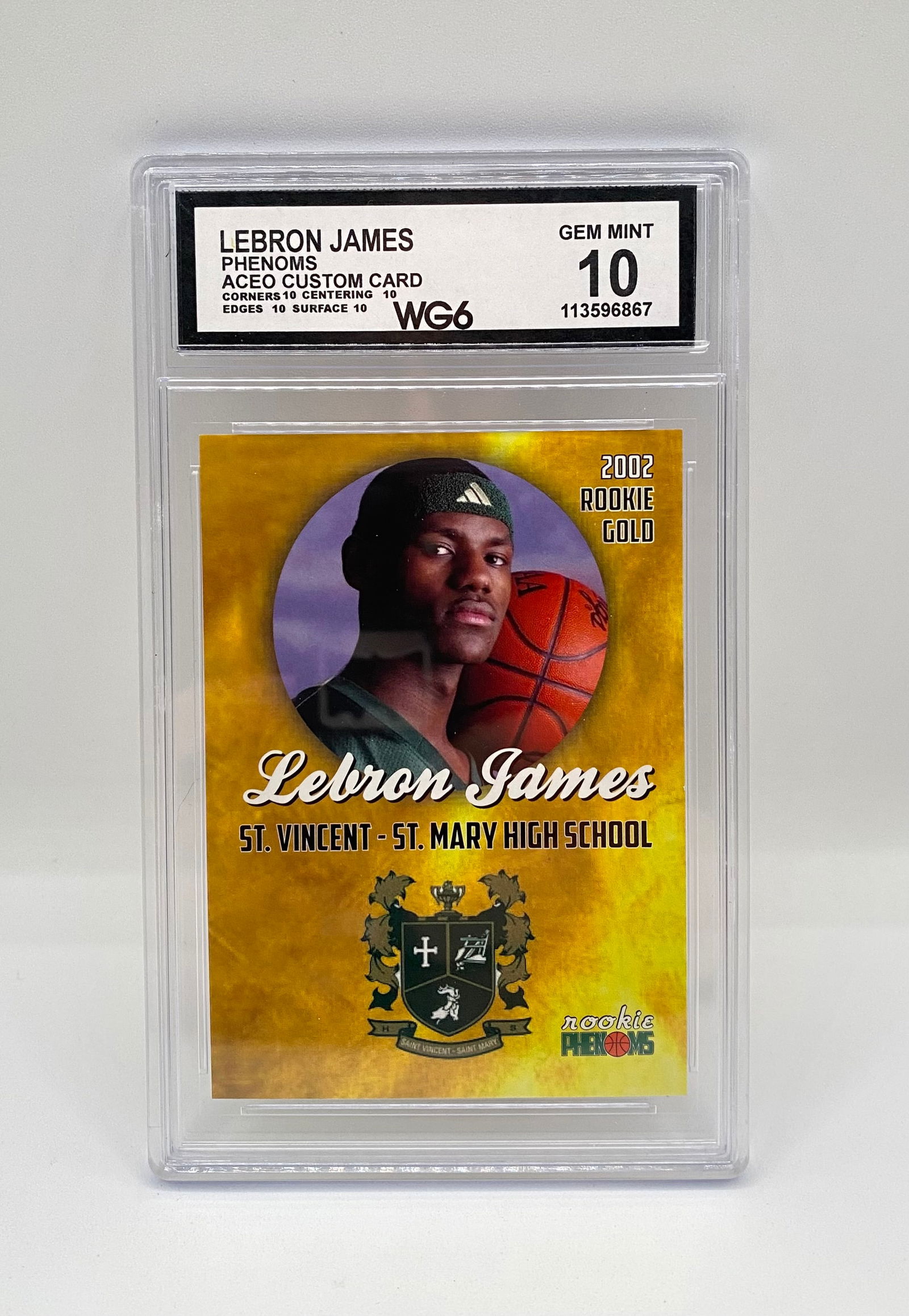 LeBron James 2002 Rookie Gold Phenoms WG6 10 Gem Mint ACEO Custom Card (1 of 2)
