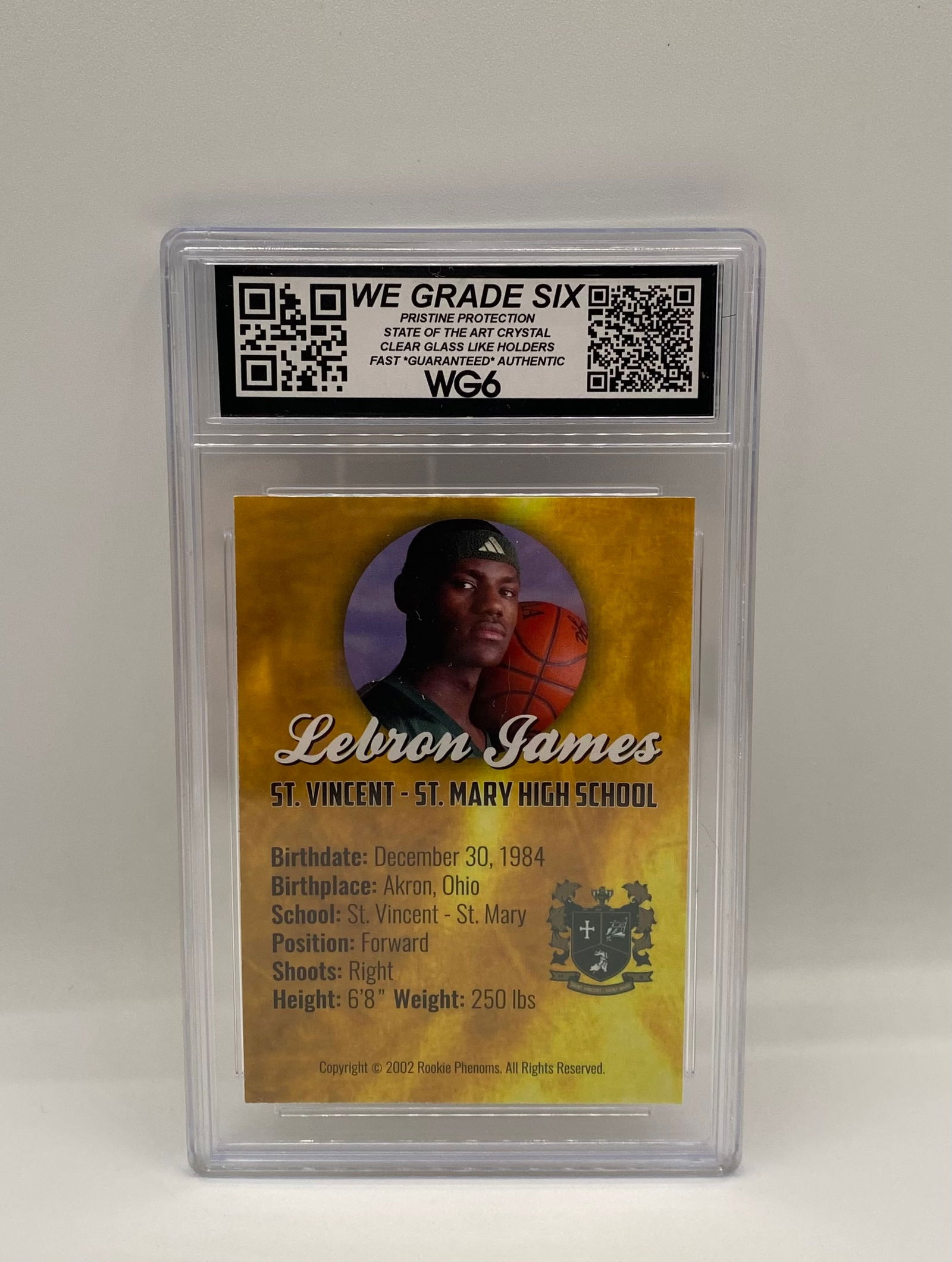 LeBron James 2002 Rookie Gold Phenoms WG6 10 Gem Mint ACEO Custom Card - 2