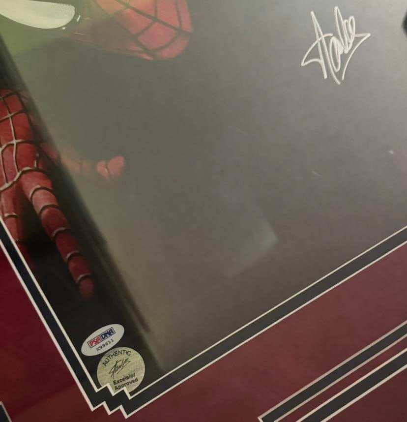 Signed Stan Lee Spider-Man Framed PSA/DNA & Excelsior Authenticated - 2