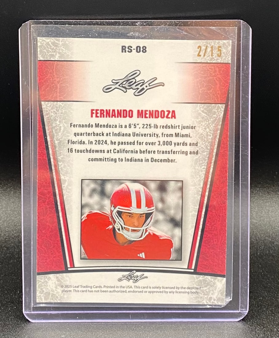 Fernando Mendoza Holo /15 - 2