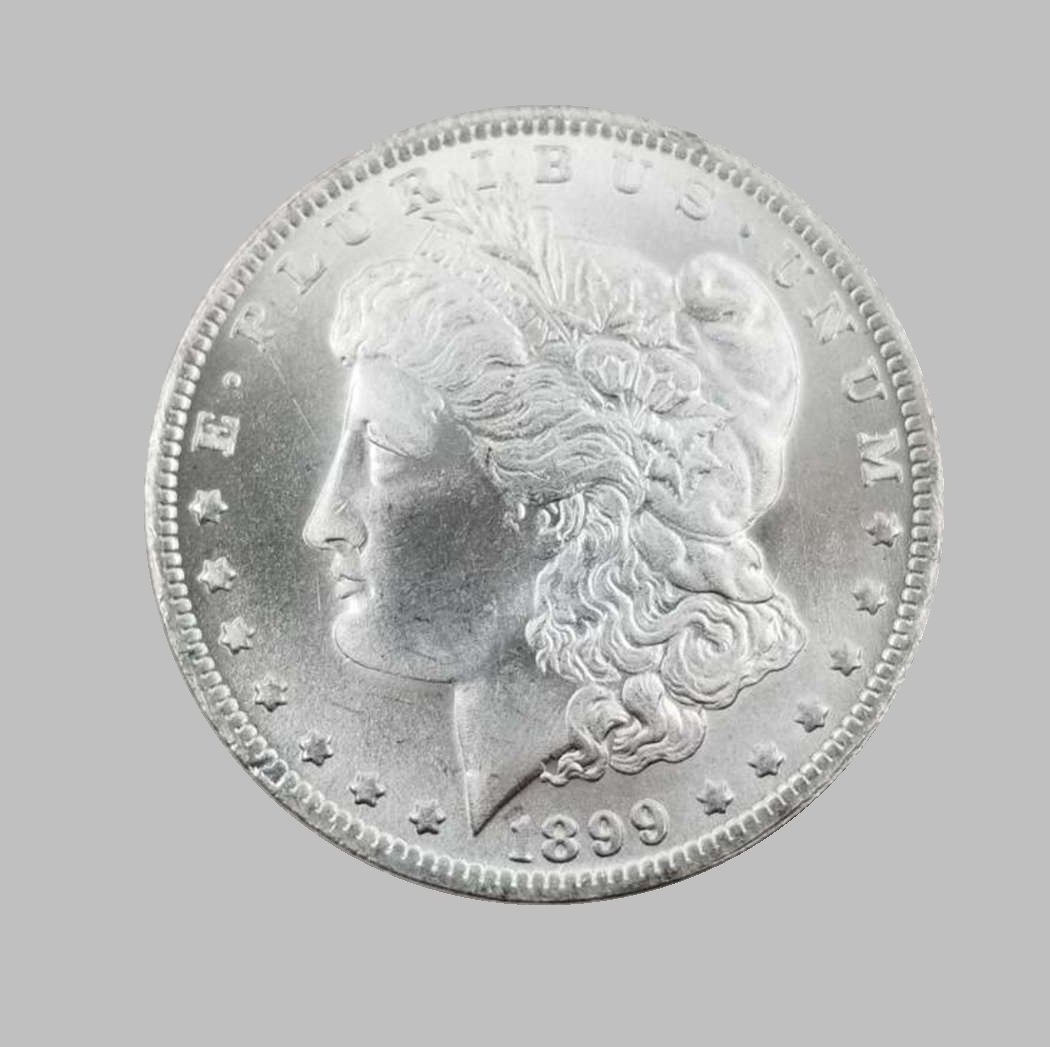 1899-S  ONE DOLLARS MORGAN SILVER COIN (1 of 2)