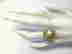 item-129312719=4