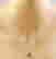 item-131662915=3