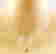 item-131670147=3