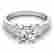 item-131661499=2
