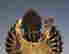 item-103474421=9