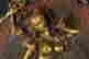 item-117496441=7
