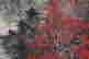 item-125005281=5