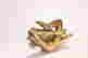 item-125005302=2