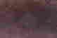 item-134380195=10