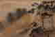 item-134380303=2