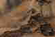item-134380303=3