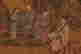 item-134380551=5