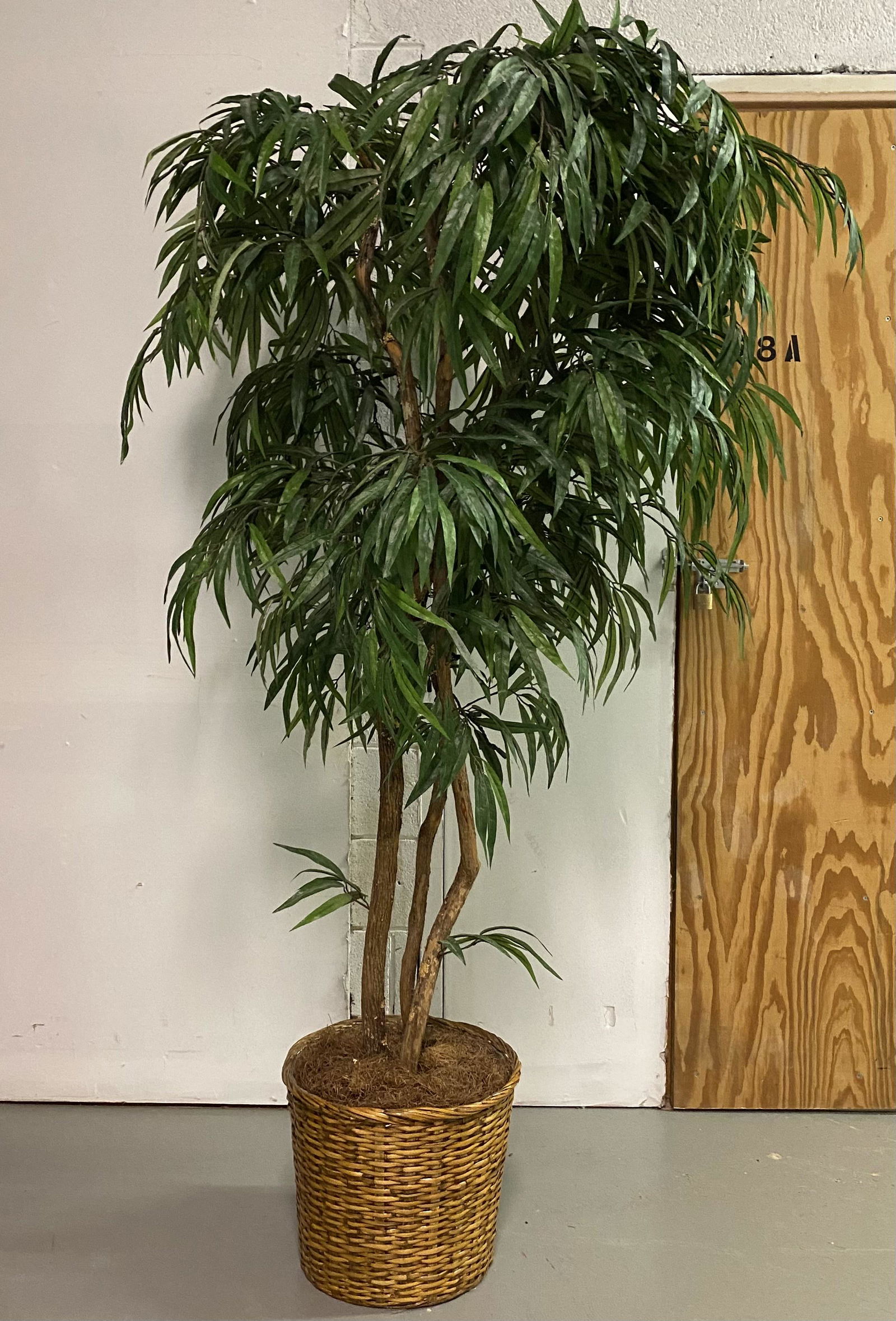 Artificial Tree in Wicker Pot (1 of 3)