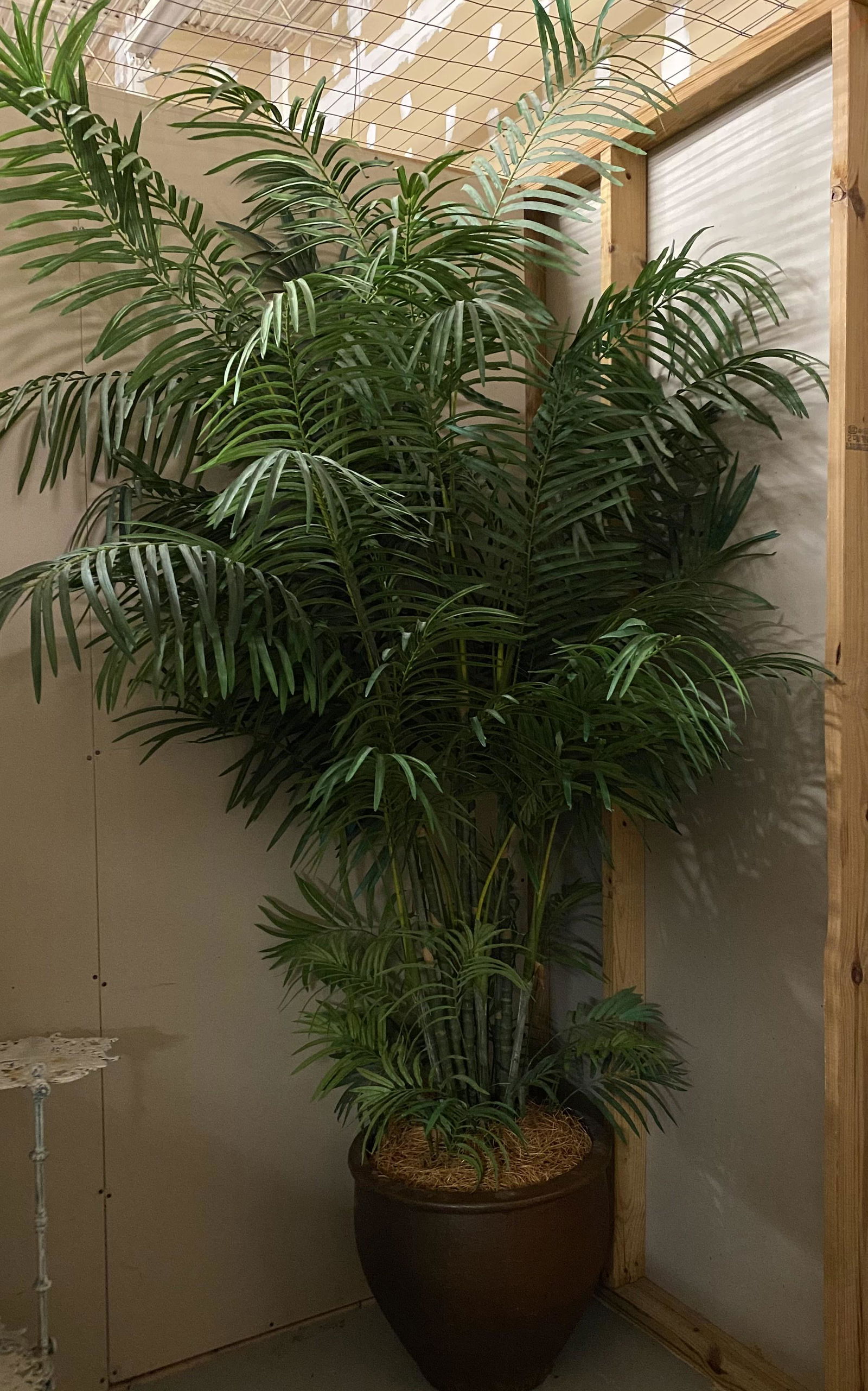 Artificial Bamboo Tree in Pottery Look Pot (1 of 4)