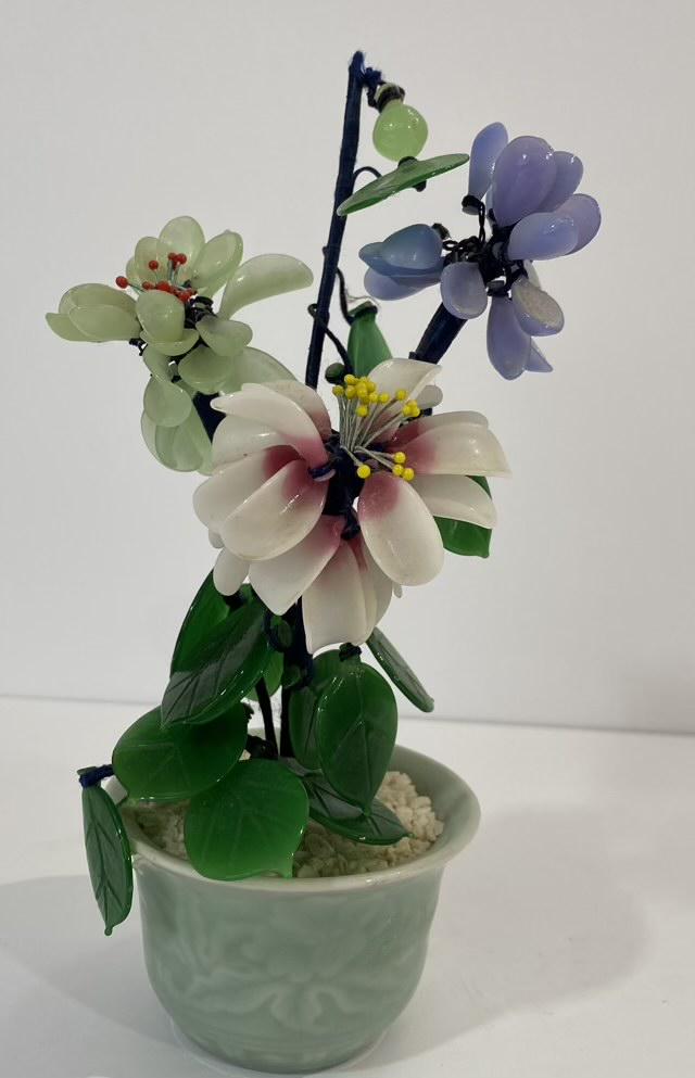 8" Jade Tree in Pot (1 of 4)