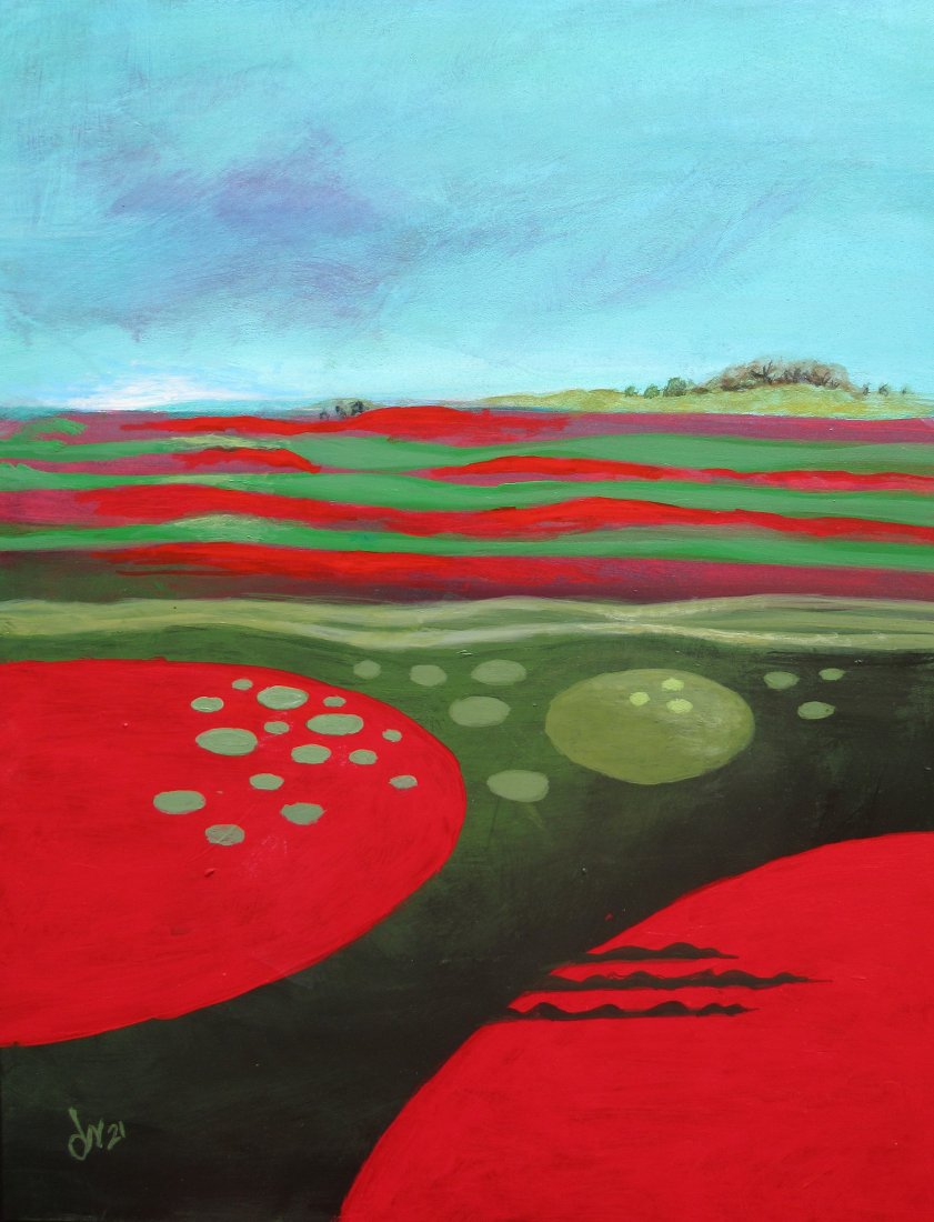 Cranberry Bogland (1 of 3)