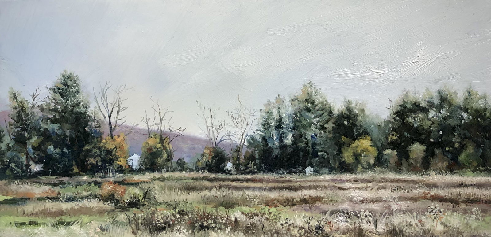 Late Fall in the Berkshires (1 of 2)