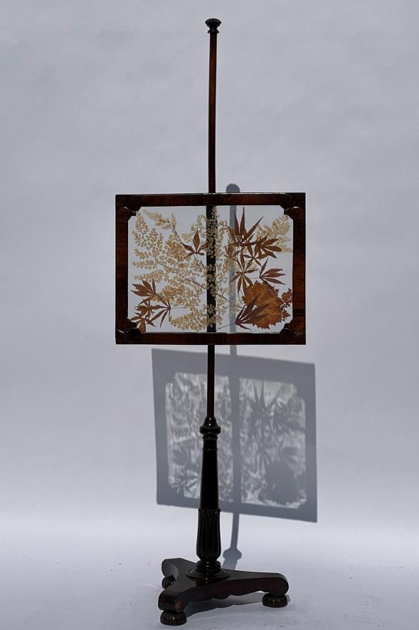 19TH CENTURY ADJUSTABLE FIRESCREEN. GLASS BROKEN (1 of 4)