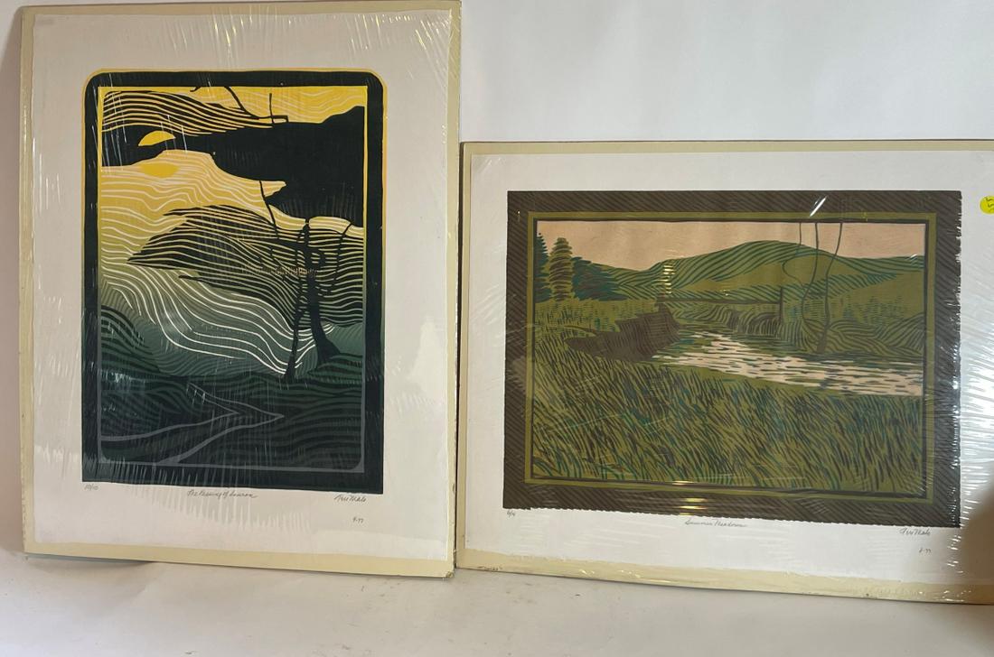 TWO TERI MALO PRINTS IN COLORS, PENCIL SIGNED 24" X 19" (1 of 9)