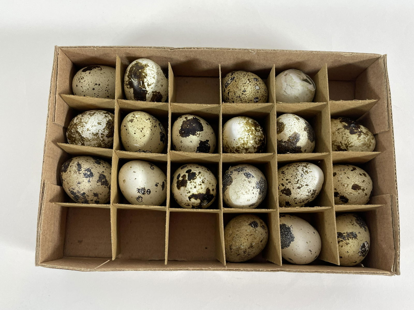 ANTIQUE VICTORIAN EGG COLLECTION, BOX IS 5" X 7". (1 of 2)