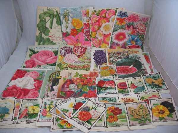 VINTAGE SEED PACKETS AND CHROMOLITHOGRAPHS: VINTAGE SEED PACKETS AND CHROMOLITHOGRAPHS