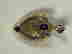 item-128161041=2