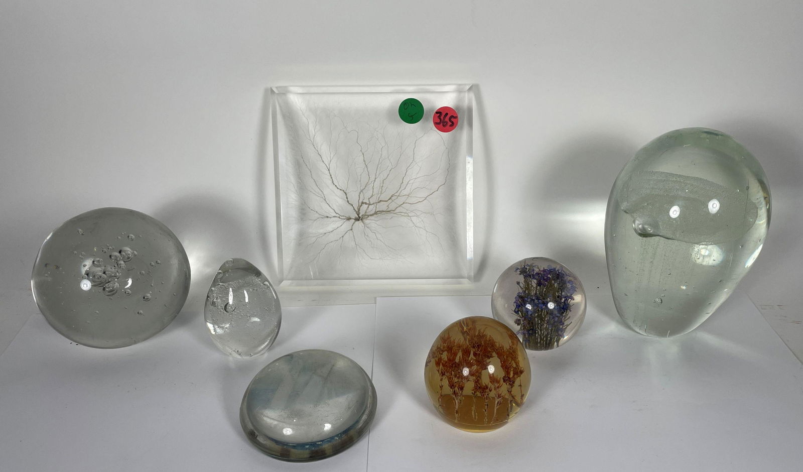 THREE GLASS AND TWO LUCITE PAPERWEIGHTS  5" X 7" AND SMALLER (1 of 5)