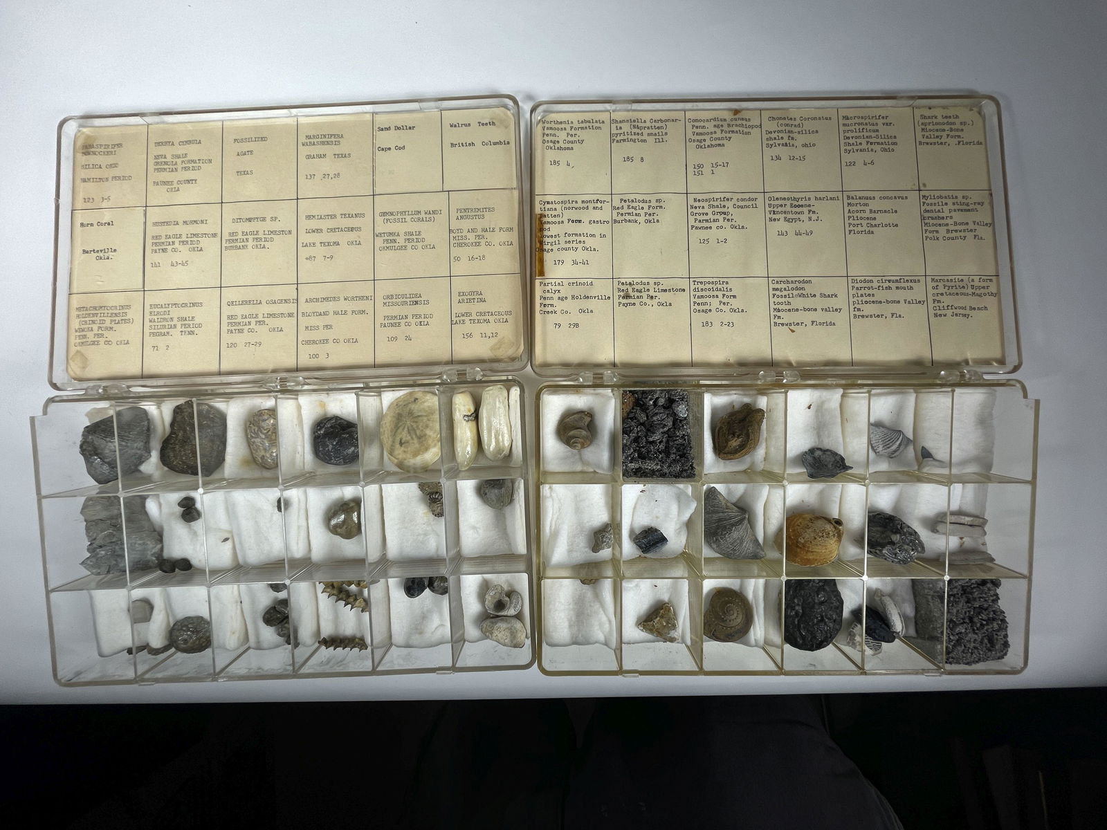 28+ IDENTIFIED FOSSIL SPECIMENS: 28+ IDENTIFIED FOSSIL SPECIMENS, 2" AND SMALLER
