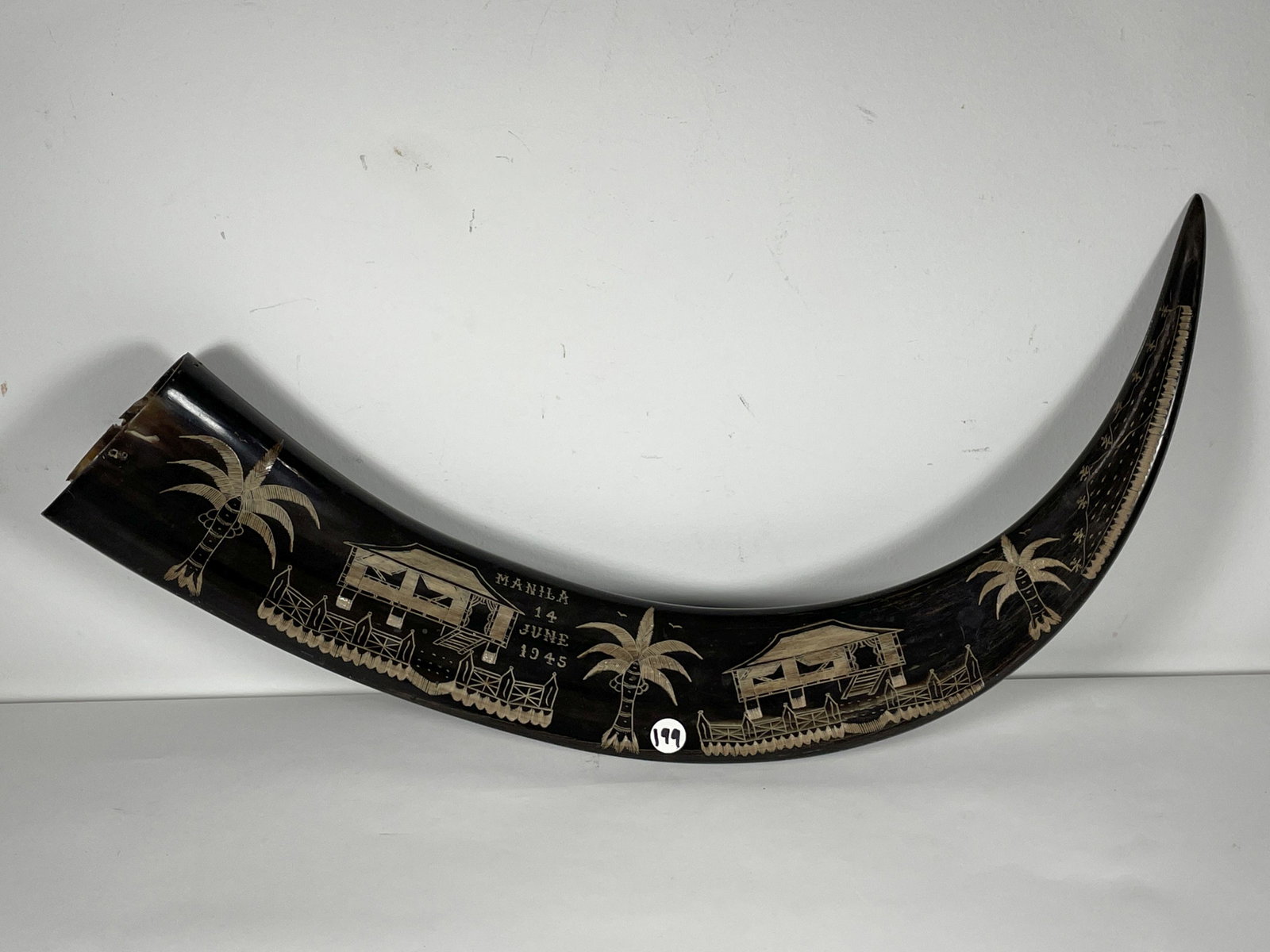 A 1945 MANILLA, CUBA CARVED STEER HORN, 24": A 1945 MANILLA, CUBA CARVED STEER HORN, 24"