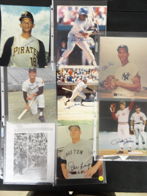7 SIGNED BASEBALL PHOTOS VALKE, MOISES ALOU, F: 7 SIGNED BASEBALL PHOTOS VALKE, MOISES ALOU, FELIPE ALOU, EDDIE MURRAY, PETE ROSE, PHIL LINZ