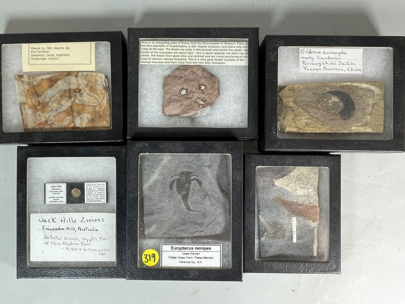 6 BOXED AND IDENTIFIED FOSSIL AND MINERAL SPECIMENS (1 of 7)
