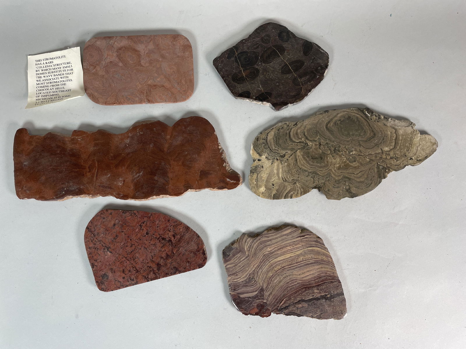 6 FOSSIL AND MINERAL SPECIMENS (1 of 7)