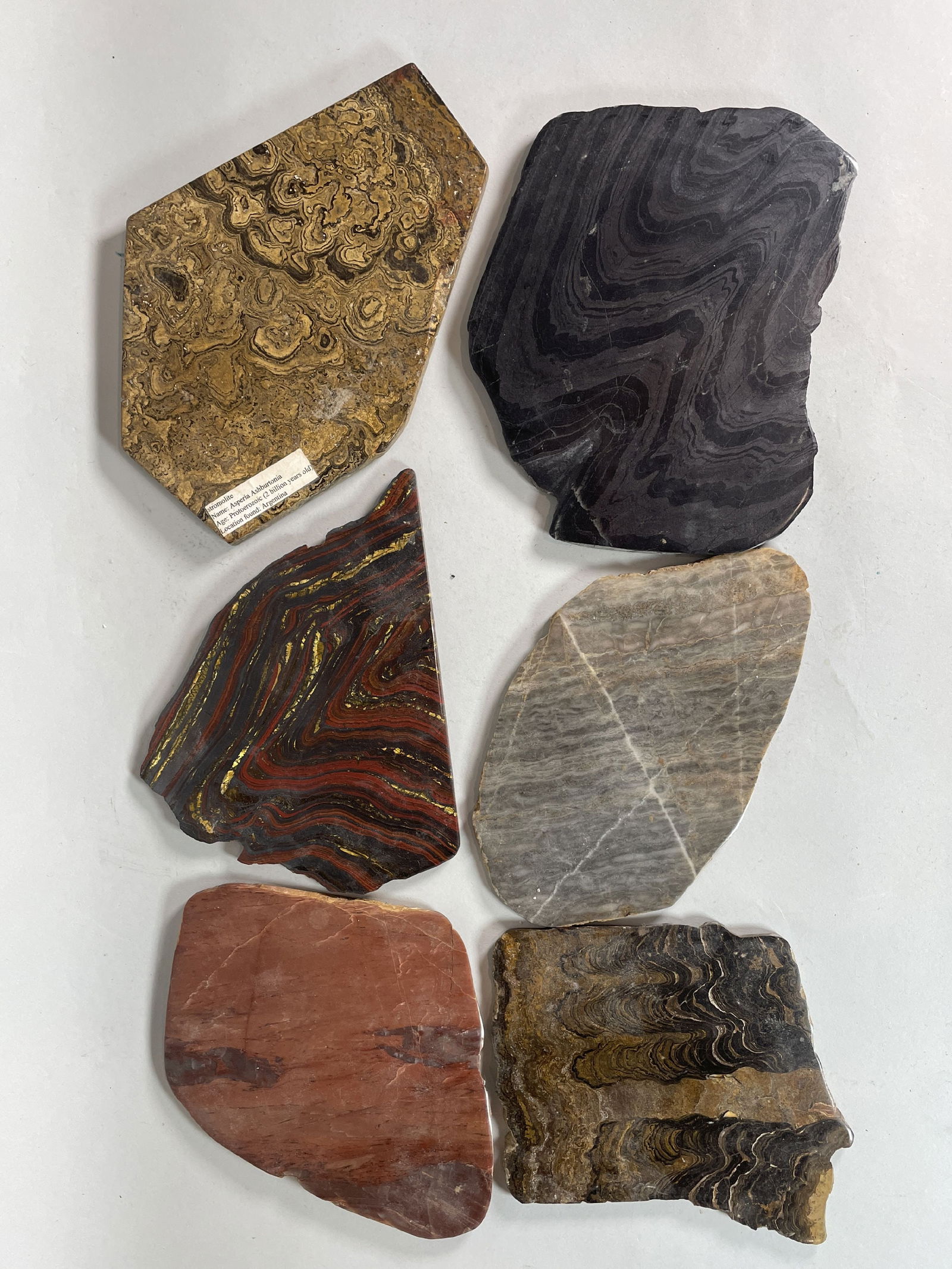 5 FOSSIL AND MINERAL SPECIMENS (1 of 7)