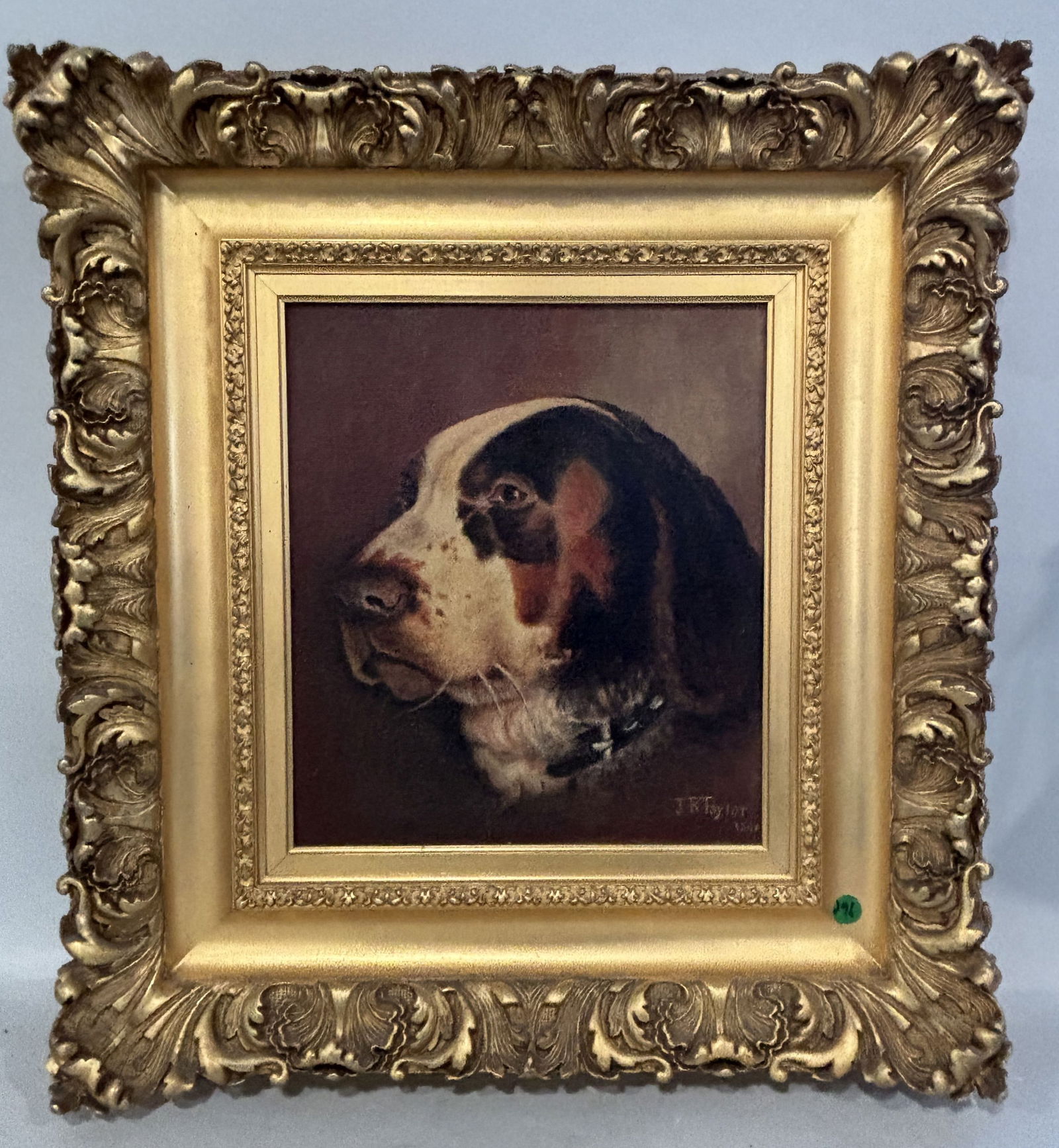 JR TAYLOR 1890 OIL PAINTING OF A SAINT BERNARD, 22" X 24" FRAMED AND 11.5" X 13.5" SIGHT (1 of 8)