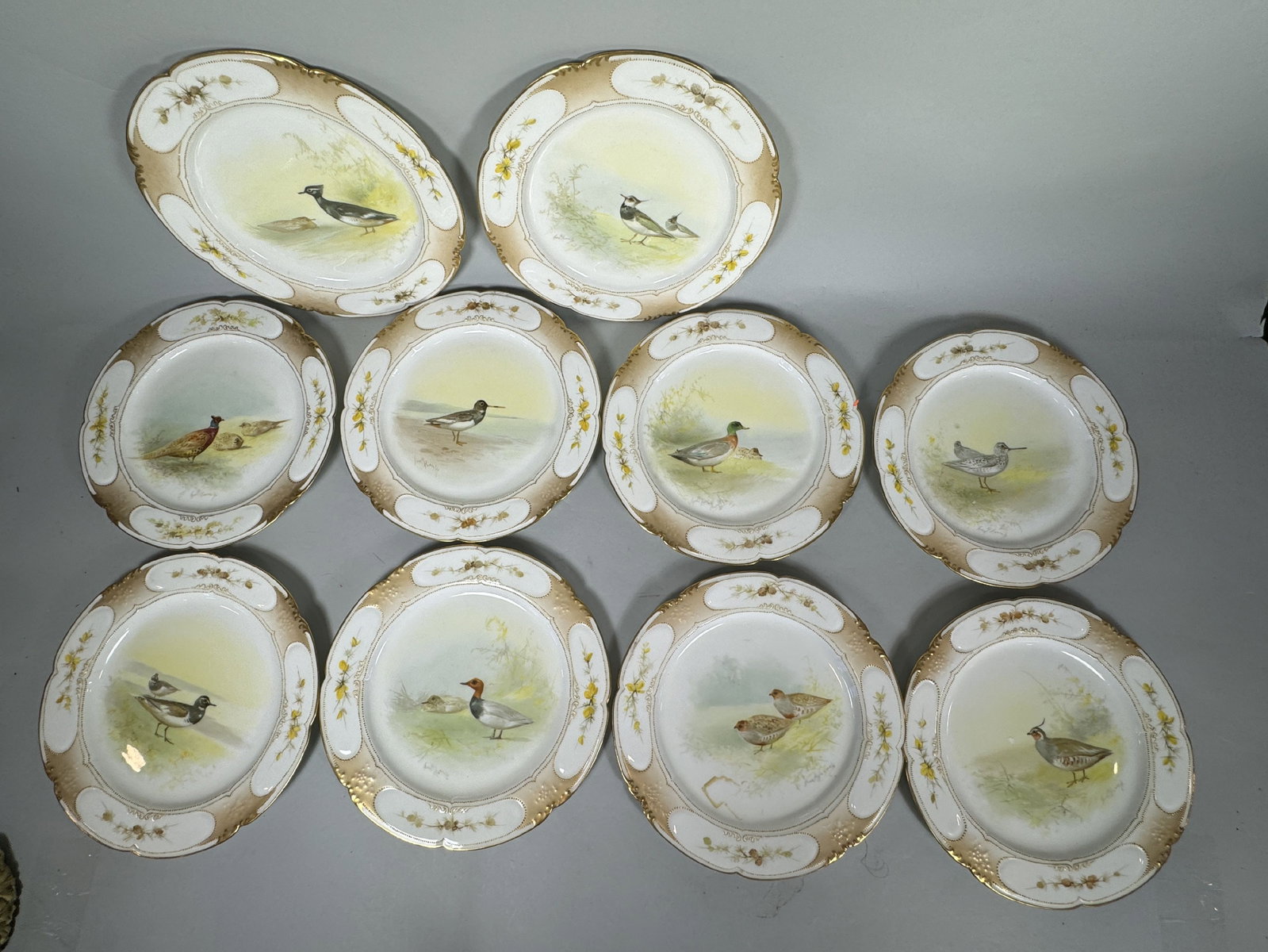 SET OF 12 ROYAL DAULTON BIRD PLATES. 2 ARE DAMAGED 9": SET OF 12 ROYAL DAULTON BIRD PLATES. 2 ARE DAMAGED 9"