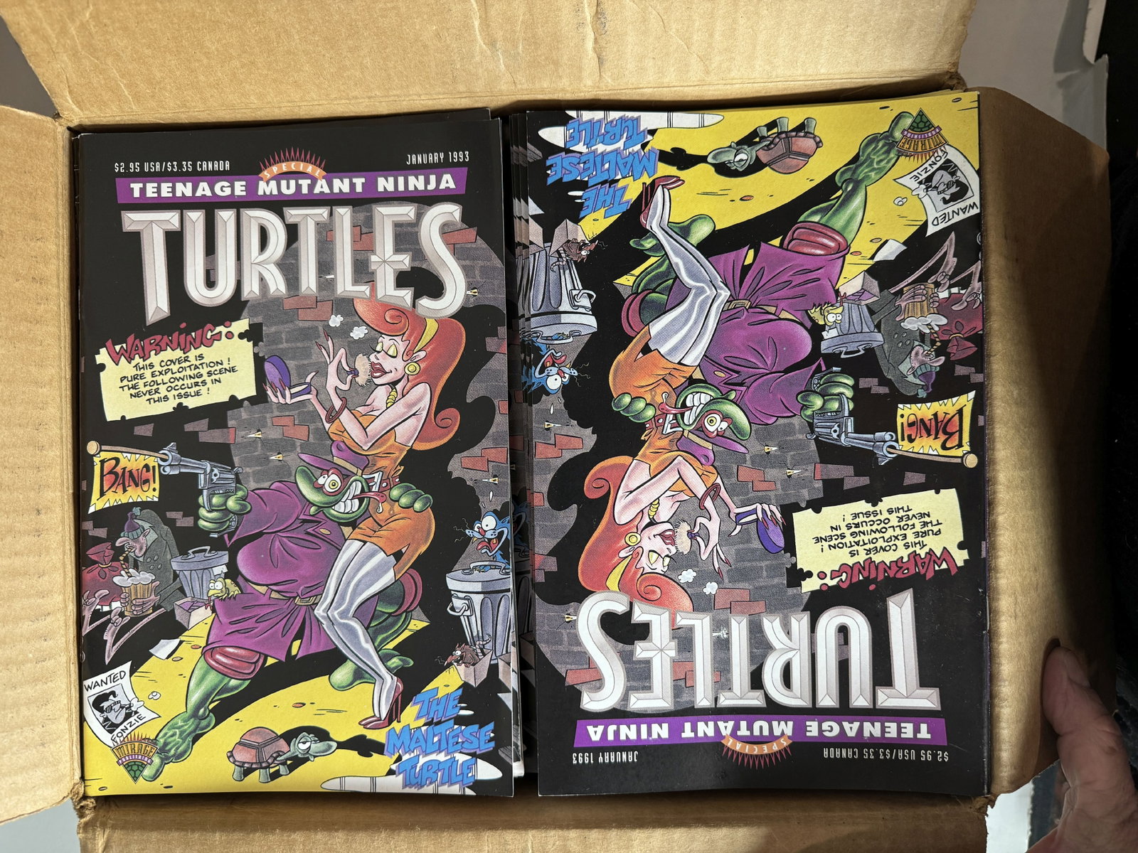 TEENAGE MUTANT NINJA TURTLES "THE MALTESE TURTLE" JANUARY 1993 COMPLETE CASE: TEENAGE MUTANT NINJA TURTLES "THE MALTESE TURTLE" JANUARY 1993 COMPLETE CASE
