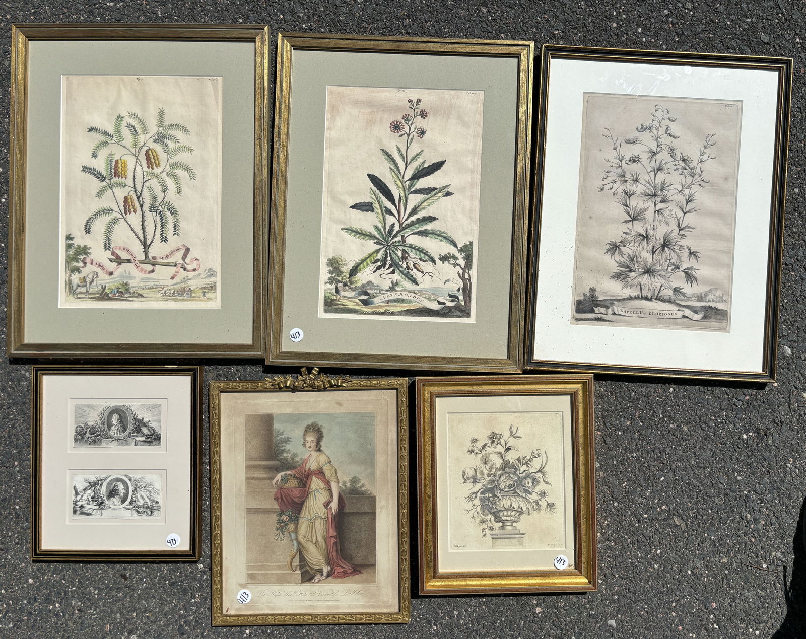 THREE FRAMED EARLY BOTANNICAL PRINTS AND TWO OTHER PRINTS, 14" X 18" AND SMALLER (1 of 8)