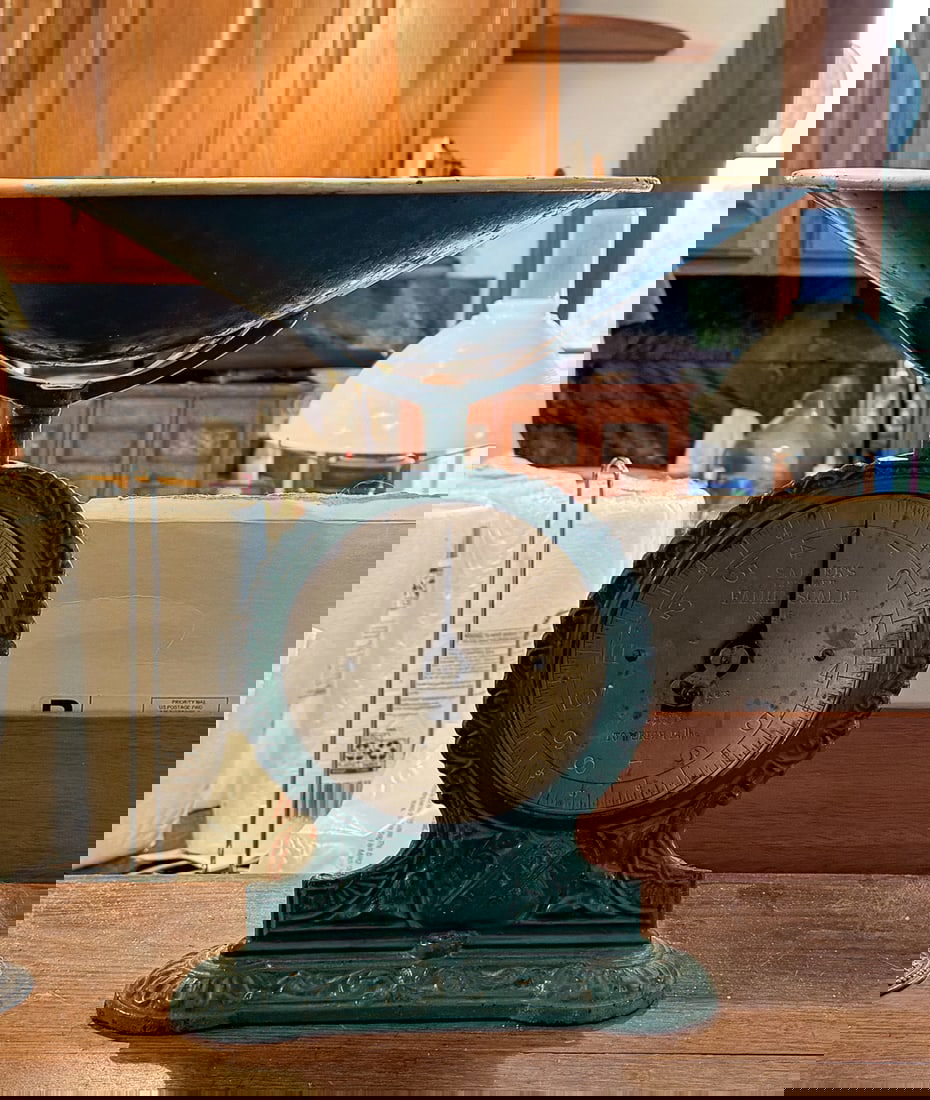 SALTERS FAMILY SCALE NUMBER 45 (1 of 2)